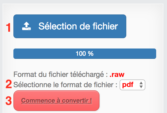 Comment convertir RAW en PDF en ligne